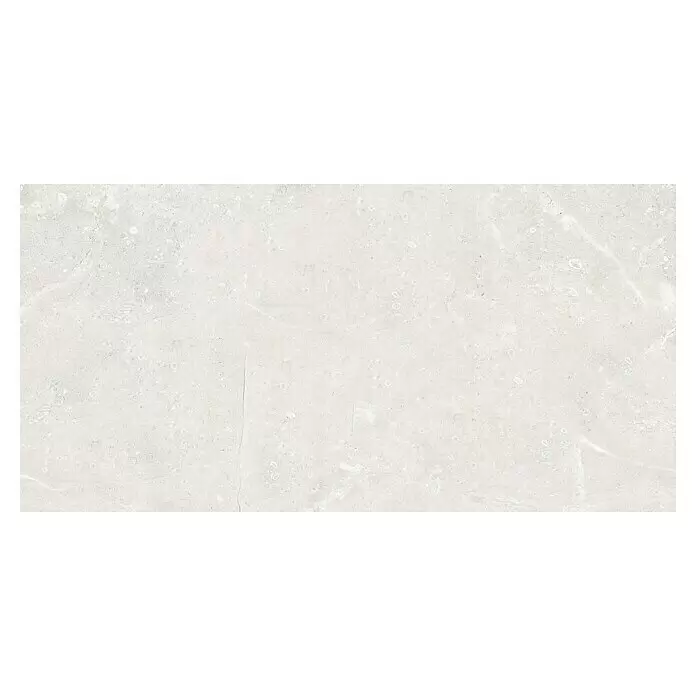 Feinsteinzeugfliese Tibet - 119,8 x 59,8 cm, Weiß/Grau, Matt - Hellgraue strukturierte Steinplatte mit feiner Äderung und kleinen Einschlüssen.