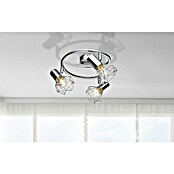 Globo Xara I Stropna spot svjetiljka  (120 W, D x Š x V: 25 x 25 x 15 cm, E14) | BAUHAUS
