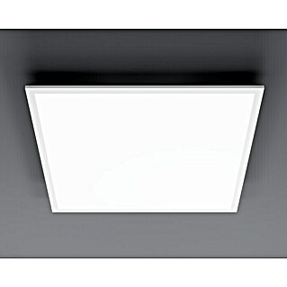 Tween Light LED-Panel RC-CCT-DIM (36 W, L x B x H: 60 x 60 x 5 cm, Weiß, Mehrfarbig)