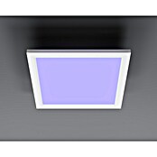 Tween Light LED panel RGB-RC-CCT-DIM  (15,5 W, Do x Š x V: 30 x 30 x 5,5 cm, Bele barve, RGBW) | 3043 - LED-Panel mit Rahmen | CACD - LED-Panel | CAC - Indoorleuchten | CA - Beleuchtung | C - Elektro | BAUHAUS