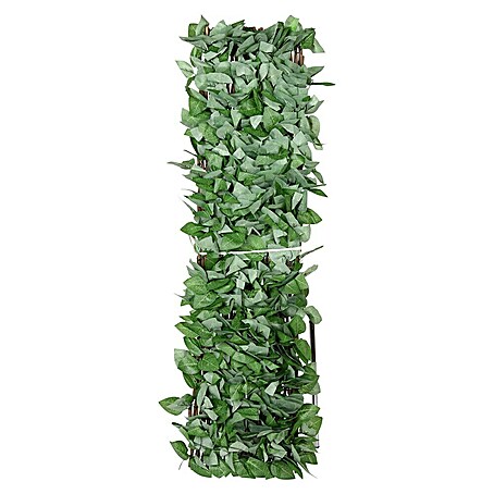 Faura Celosía extensible Mimbre con Hojas de Arce (2 x 1 m, Verde)