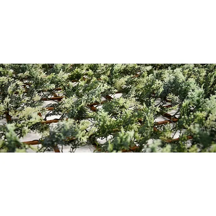 Faura Celosía extensible Mimbre con Hojas de Ciprés - 2 x 1 m, Verde - Primer plano de una valla artificial con follaje verde y estructura de celosía de madera marrón, usada para decoración y privacidad.