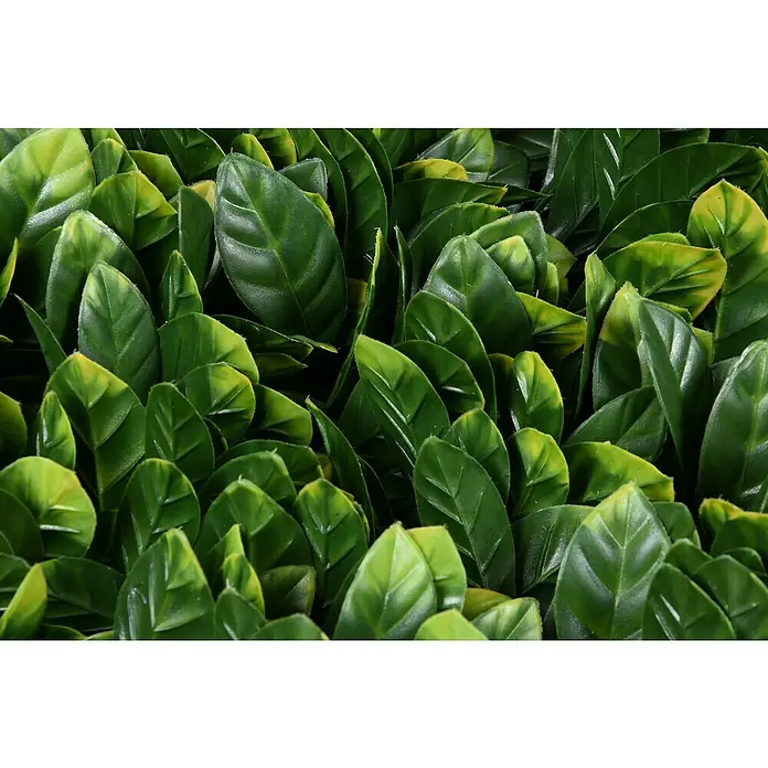 Faura Celosía extensible Mimbre con Hojas de Laurel - 2 x 1 m, Verde - Primer plano de exuberantes hojas verdes con sutiles toques amarillos, que ofrece una textura vibrante y natural ideal para fines decorativos.