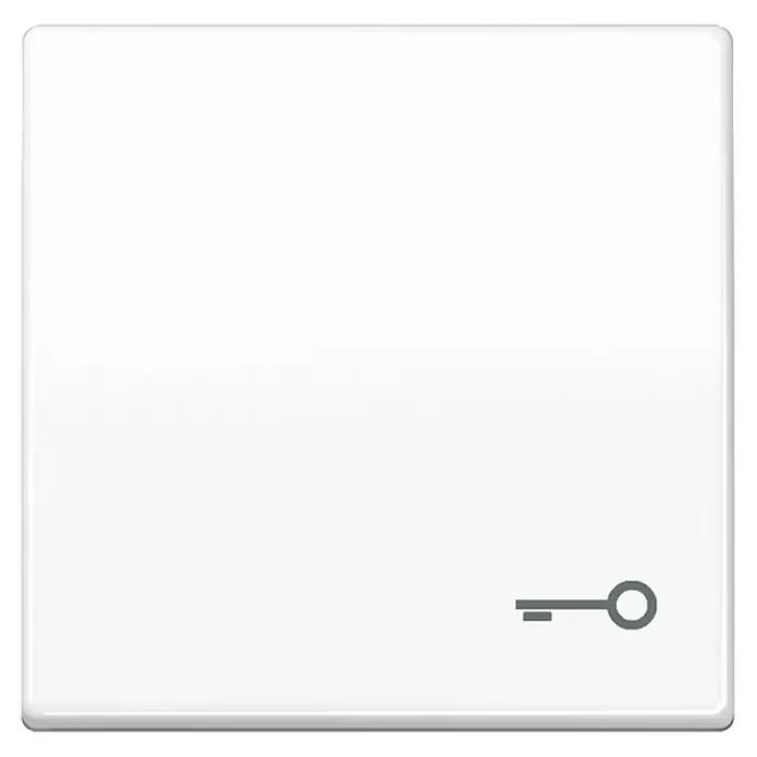 Jung AS 500 Universalwippe AS591TWW - Mit Symbol Schlüssel, Alpinweiß glänzend, Kunststoff - Weißer Lichtschalter mit Schlüsselsymbol, ideal zur Steuerung der Beleuchtung in jedem Raum. Stilvolles und praktisches Design.