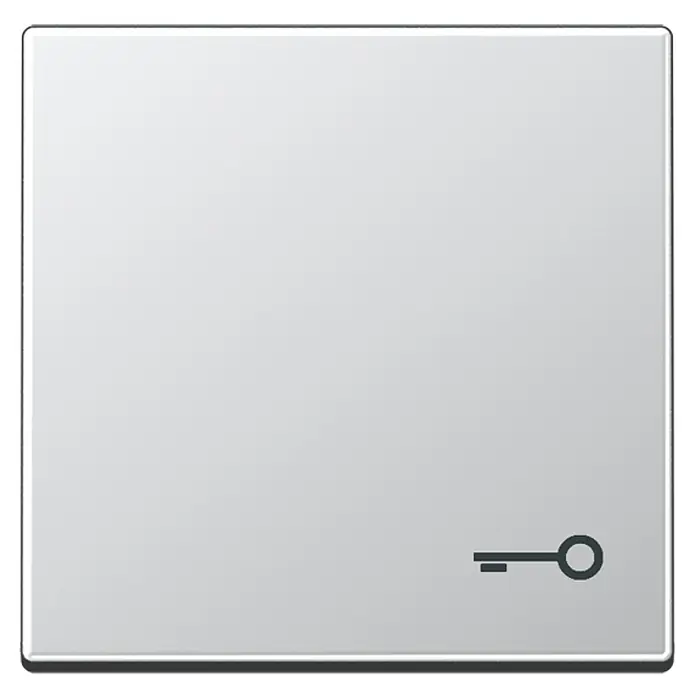 Jung A Universalwippe A590TAL - Mit Symbol Schlüssel, Aluminium matt, Kunststoff - Ein grauer Schlüsselschalter mit einem minimalistischen Schlüssel Symbol.