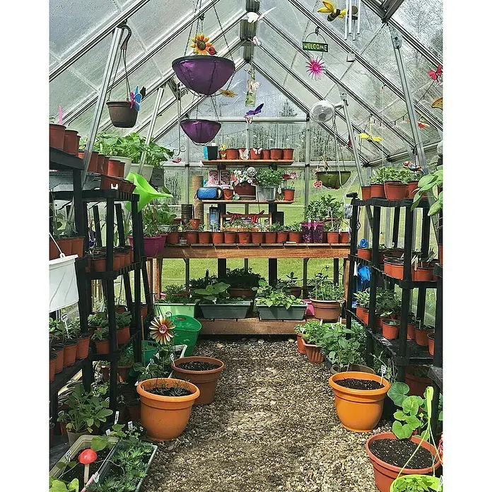 Palram – Canopia Invernadero Octave - Medidas ext. (An x Pr): 244 x 367 cm, Material de la pared lateral: Plástico, 0,7 mm, Plateado - Vista interior de un invernadero lleno de plantas en macetas, estantes y jardineras colgantes. Entorno luminoso y natural.