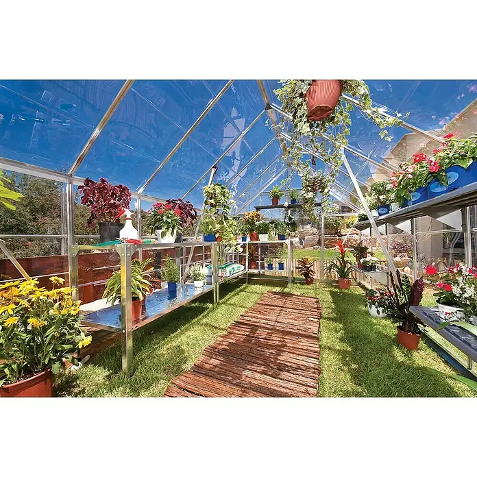 Palram – Canopia Invernadero Octave - Medidas ext. (An x Pr): 244 x 367 cm, Material de la pared lateral: Plástico, 0,7 mm, Plateado - La imagen muestra un invernadero lleno de plantas en estantes y en el suelo, con un camino de madera en el medio. El invernadero tiene un techo transparente.