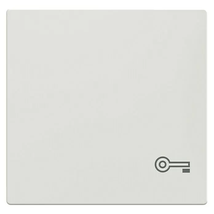 Merten System M Universalwippe MEG3303-0319 - Mit Symbol Schlüssel, Polarweiß glänzend, Kunststoff - Hellgraues Smart-Home-Bedienfeld mit Schlüsselsymbol für Zugangs- oder Sicherheitsfunktionen.