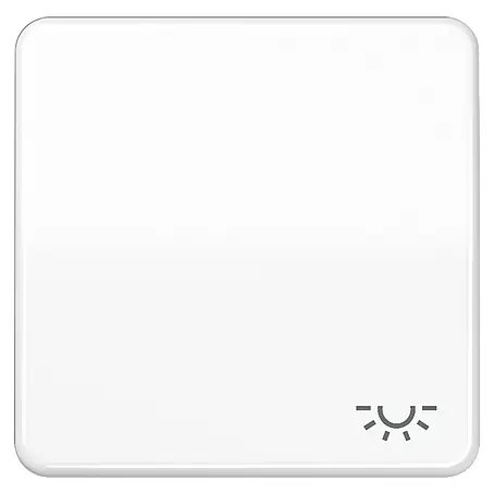 Jung CD 500 Universalwippe CD590LWW