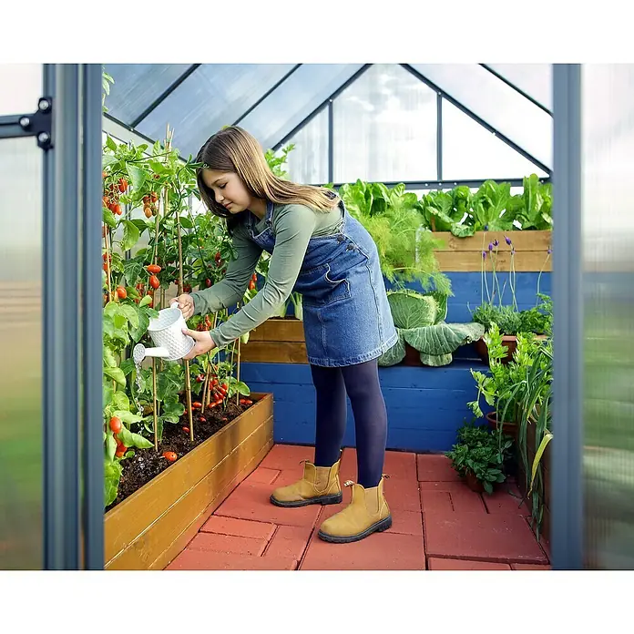 Palram – Canopia Invernadero Mythos - Medidas ext. (An x Pr): 185 x 247 cm, 4 mm, Gris - Una joven riega plantas de tomate con una regadera blanca en un invernadero rodeado de exuberante vegetación.