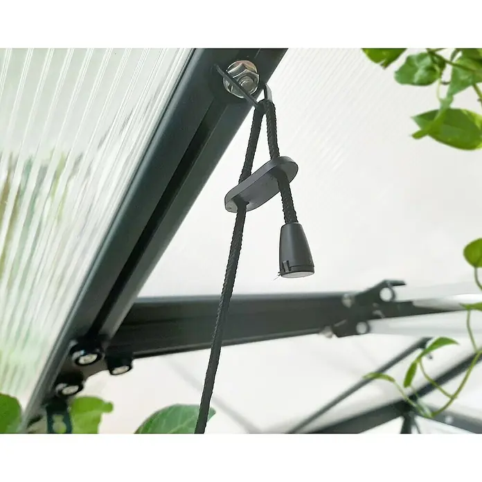 Palram – Canopia Plafón Brighton - Largo: 55 cm - Primer plano de un mecanismo de cordón de tracción negro en una ventana de invernadero.