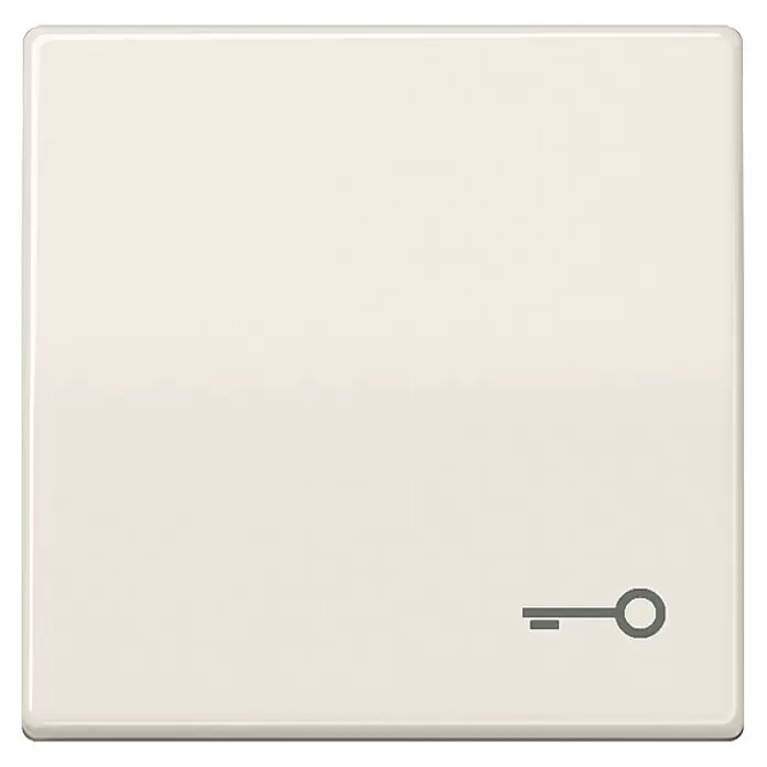 Jung AS 500 Universalwippe AS591T - Mit Symbol Schlüssel, Weiß glänzend, Kunststoff - Hellbeige quadratische Schlüsselschalterabdeckung mit Schlüsselsymbol.
