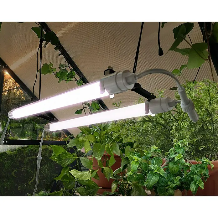 Palram – Canopia Plafón Brighton - Largo: 55 cm - Primer plano de dos luces LED de crecimiento que cuelgan sobre plantas de interior en un invernadero, emitiendo un brillo cálido.