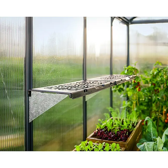 Palram – Canopia Estantería para invernadero - 64,5 x 27 x 17,3 cm, Específico para: Invernaderos Palram - Canopia - Primer plano de una estantería negra de invernadero con soporte metálico, mostrando plantas. Ideal para maximizar la organización del jardín.