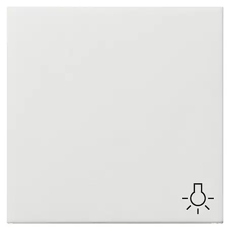 Gira Flächenschalter Universalwippe 285112