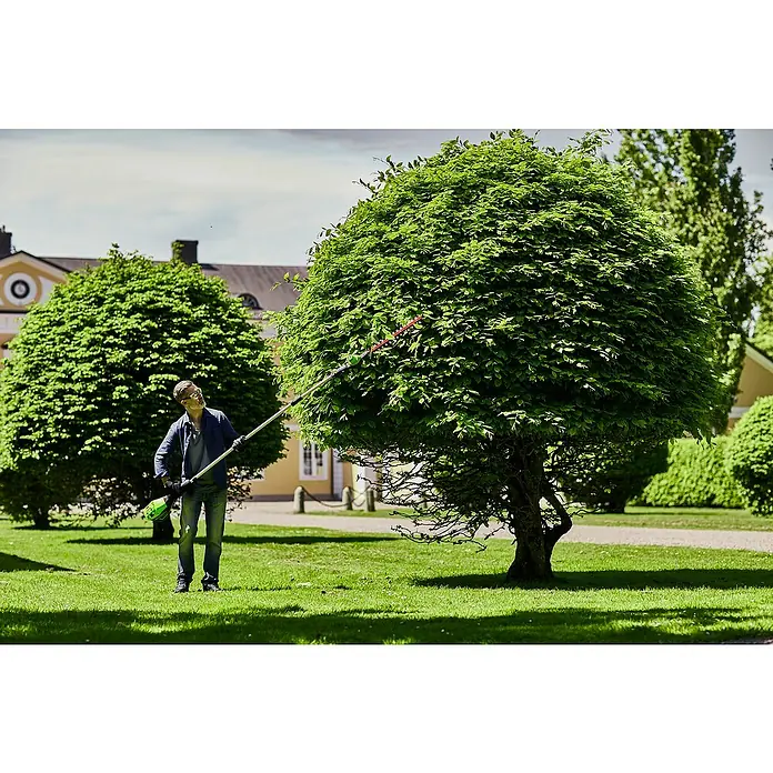 Greenworks 60V Akkusystem Teleskop-Heckenschere GD60PHT51 - 60 V, Li-Ionen, Ohne Akku, Schnittlänge: 51 cm - Ein Mann schneidet mit einer GREENWORKS Akku-Heckenschere einen Baum. Das Gerät ist leicht und ermöglicht präzises Arbeiten.