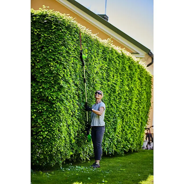 Greenworks 60V Akkusystem Teleskop-Heckenschere GD60PHT51 - 60 V, Li-Ionen, Ohne Akku, Schnittlänge: 51 cm - Frau schneidet eine hohe Hecke mit einer Akku-Heckenschere mit Teleskopstiel, um Gartenarbeit zu erleichtern.