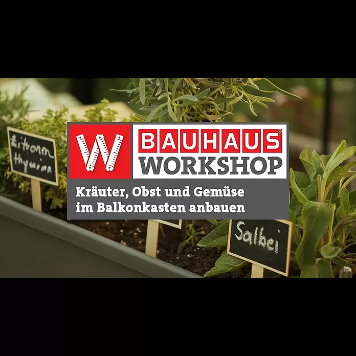 Substral Naturen Obst- & Gemüsenahrung1 l, Max. ausreichend für Flüssigkeitsmenge: 140 l - Kruter, Obst und Gemse im Balkonkasten anbauen [Experten-Tipps] | BAUHAUS Workshop