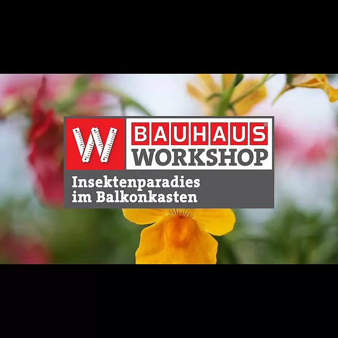 Lechuza Pflanztopf CubiAußenmaß (L x B x H): 14 x 14 x 26 cm, Kunststoff, Weiß - Insektenfreundliche Pflanzen fr Balkonksten [Experten-Tipps] | BAUHAUS Workshop