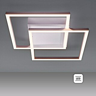 Just Light LED-Deckenleuchte Iven (17,5 W, L x B x H: 35,9 x 35,9 x 7 cm, Stahl, Warmweiß)