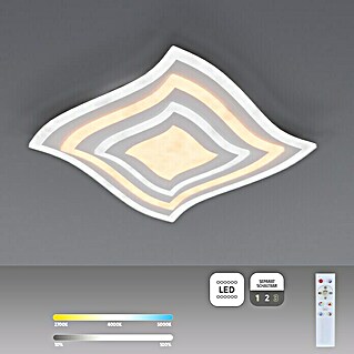Fischer & Honsel LED-Deckenleuchte Gorden (38 W, L x B x H: 43 x 43 x 6 cm, Weiß, Mehrfarbig)