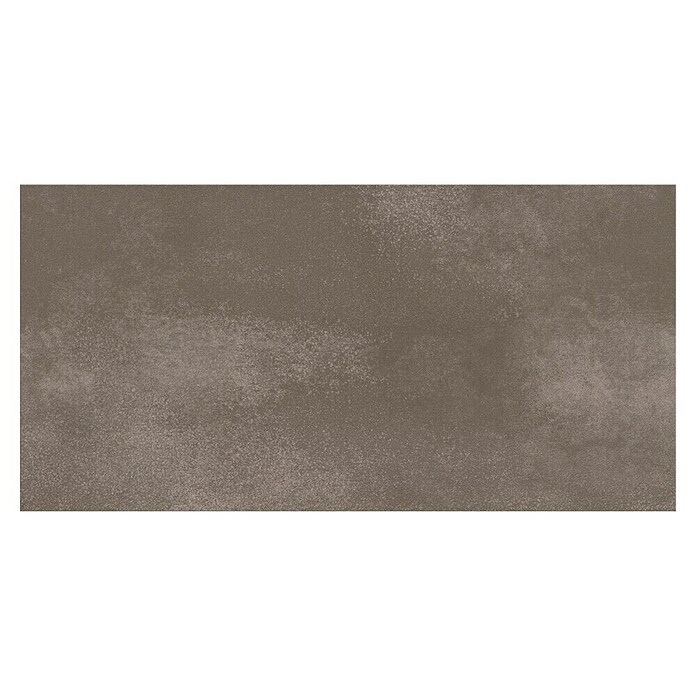 Feinsteinzeugfliese My Style (30 x 60 cm, Taupe, Matt) | BAUHAUS