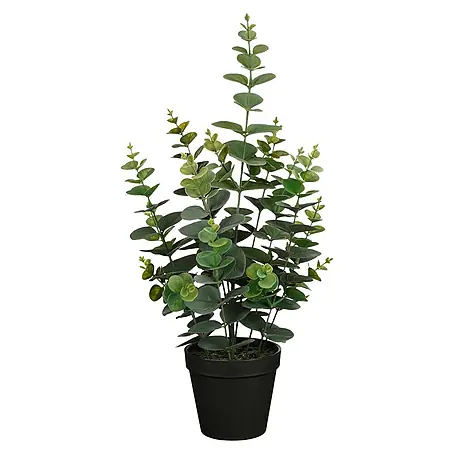 Kunstpflanze Eucalyptus