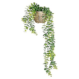Planta artificial Pilea colgante (Altura: 55 cm, Verde, Plástico)