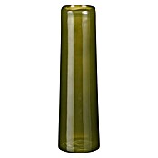 Vaza Xandra  (Ø x V: 7 x 23,5 cm, Steklo, Olivno zelena) | 8487 - Vasen/Windlichter | IDDD - Wohntrends | IDD - Trendy | ID - Trendy | I - Stadtgarten | BAUHAUS