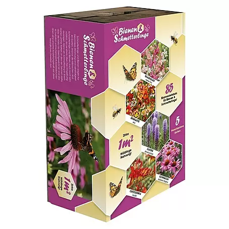 Sommerblumenzwiebel-Mix Bienen & Schmetterlinge