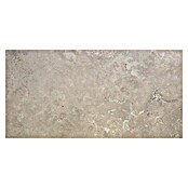 Feinsteinzeugfliese Tivoli Stone (60 x 119,5 cm, Shell, Matt) | BAUHAUS