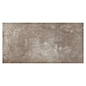 Feinsteinzeugfliese Rimini (60 x 120 cm, Taupe, Matt) | BAUHAUS