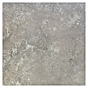 Feinsteinzeugfliese Tivoli Stone (59,7 x 59,7 cm, Smoke, Matt) | BAUHAUS