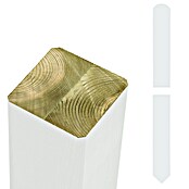 Plus Zaunpfosten spitz/gerundet (Höhe: 158 cm, 7 x 7 cm, Weiß, Holz) | BAUHAUS