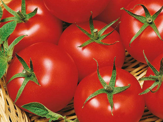 Tomatensorten Salattomaten