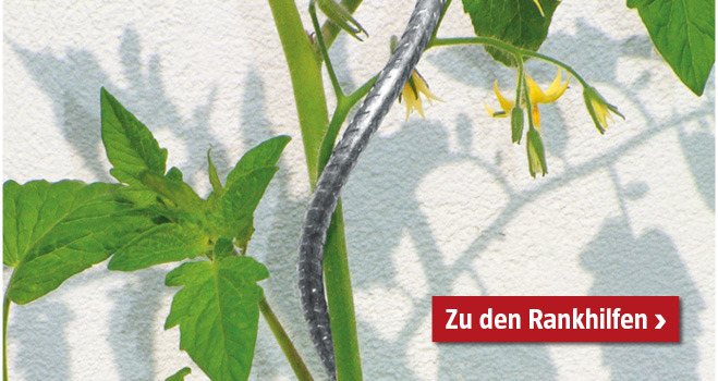 Rankhilfen