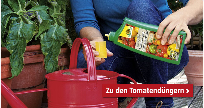 Tomatendünger