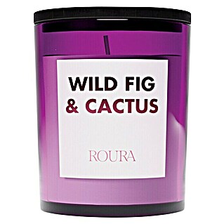 Ceras Roura Vela aromática Cheerful (Ø x Al: 7 x 8,5 cm, Wild Fig & Cactus)