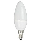 Garza Bombilla LED (6 W, E14, Color de luz: Blanco cálido, No regulable, Vela)