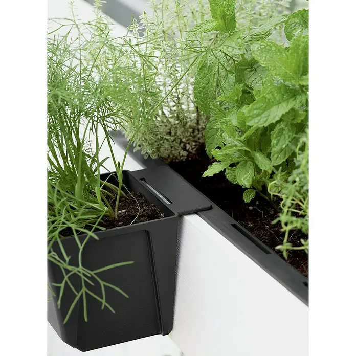 Geli Pflanzkasten-Einsatz Easy - Außenmaß (L x B x H): 10 x 10 x 10 cm, Kunststoff, Anthrazit - Nahaufnahme eines schwarzen, modularen Pflanzgefäßes mit frischen Kräutern, das an einer weißen Oberfläche befestigt ist.