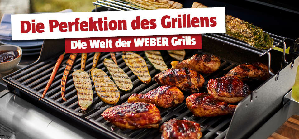 Markenshop WEBER