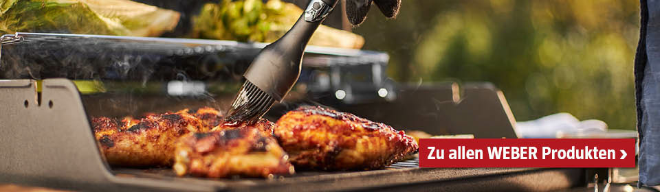 WEBER Produkte