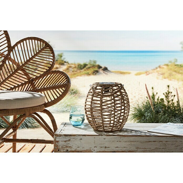 Solar led-decoratielamp Tortoli (l x b x h: 250 x 250 x 255 mm, Accuduur: 6 u) | BAUHAUS
