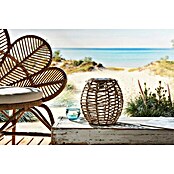 Solar led-decoratielamp Tortoli (l x b x h: 250 x 250 x 255 mm, Accuduur: 6 u) | BAUHAUS