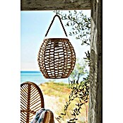 Solar led-decoratielamp Tortoli (l x b x h: 250 x 250 x 255 mm, Accuduur: 6 u) | BAUHAUS