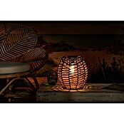 Solar led-decoratielamp Tortoli (l x b x h: 250 x 250 x 255 mm, Accuduur: 6 u) | BAUHAUS