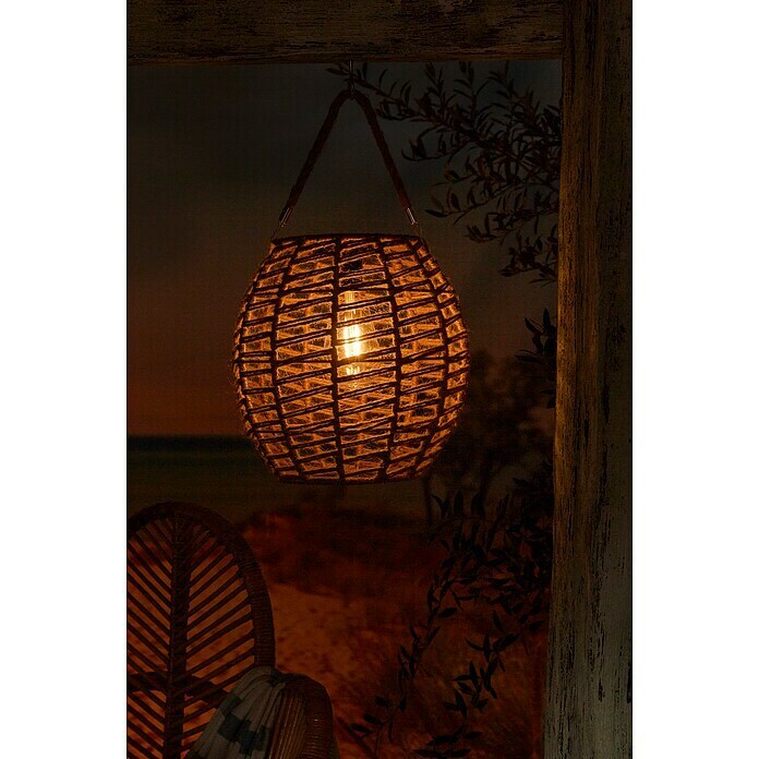 Solar led-decoratielamp Tortoli (l x b x h: 250 x 250 x 255 mm, Accuduur: 6 u) | BAUHAUS