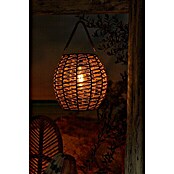 Solar led-decoratielamp Tortoli (l x b x h: 250 x 250 x 255 mm, Accuduur: 6 u) | BAUHAUS