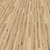 Eiche Sahara