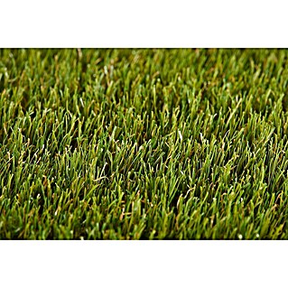 Umjetna trava Poppy (D x Š x V: 400 cm x 100 cm x 3,7 mm, Zelena)